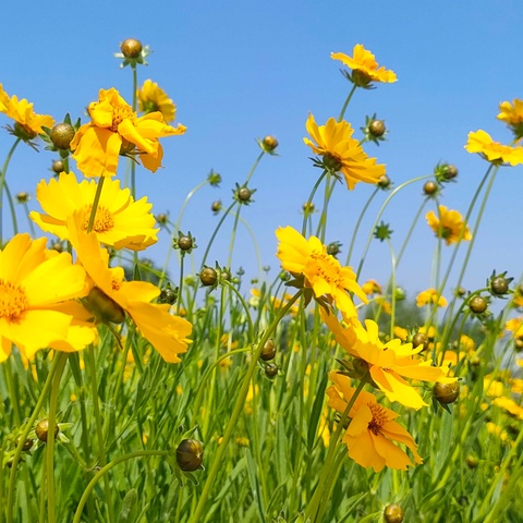 【深耕高考考点 构建思维模型】   ——菏泽一中人民路高三物理《万有引力与航天》二轮复习课