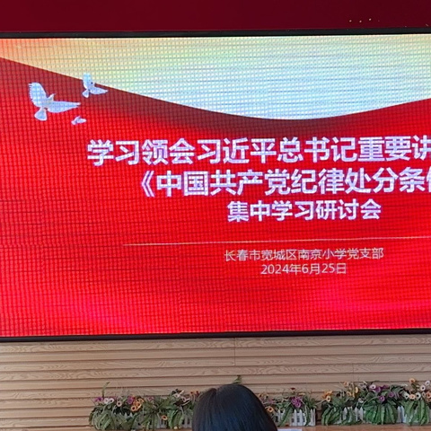 南京小学党支部召开党纪集中学习研讨会