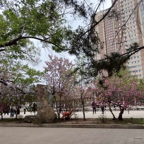 春光旖旎沈阳城