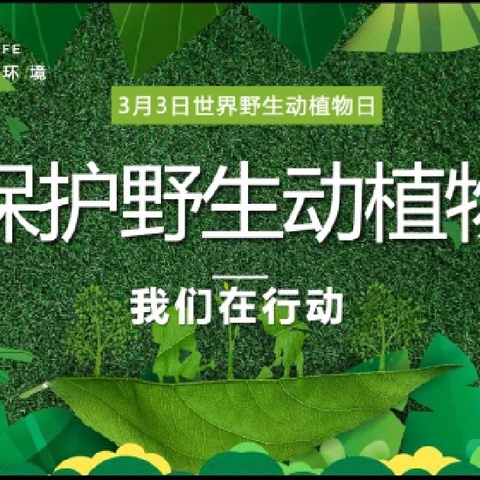 “构建野生动植物保护体系”——东风林场开展“世界野生动植物日”主题宣传活动