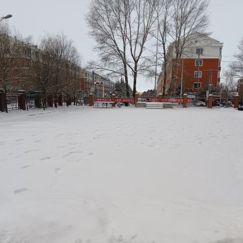 校园清雪除冰齐动员 沾河高级中学