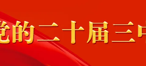 崖州区孔子学会党支部召开支委（扩大）会议传达学习贯彻党的二十届三中全会精神