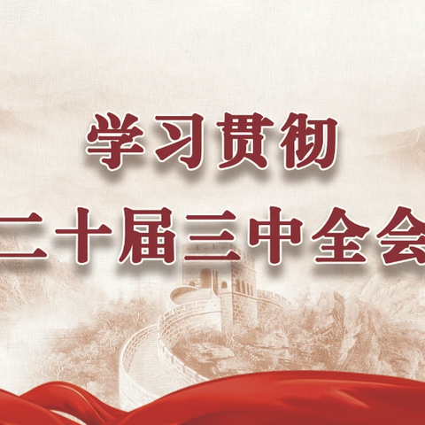 凝心聚力 奋发青春｜崖州区孔子学会团支部活动简影