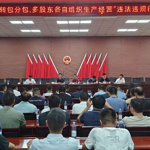 金山镇烟花爆竹企业违法违规行为集中整治推进会顺利召开