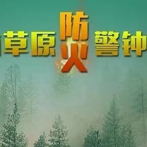 森林防火致家长的一封信