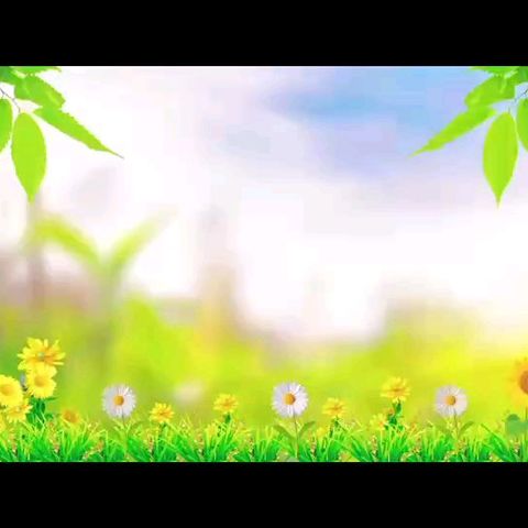 书韵轻吟——兰陵县第六小学四年级好书推荐