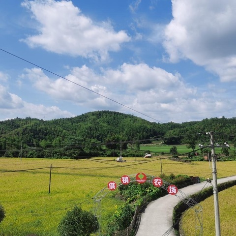 齐心打造供销农场  携手开启农民致富门