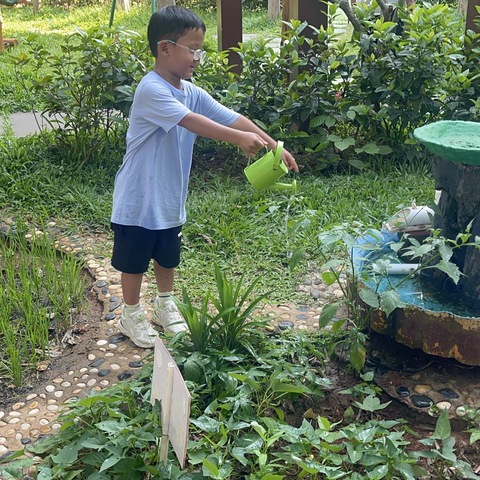 萌娃小厨房 椰丝斑斓卷——海口市港湾幼儿园蒙一班