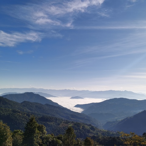 我是小小驻村队员