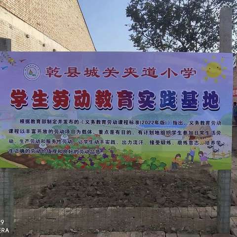 “学农耕之技·享劳动之乐”——夹道小学种植园实践活动