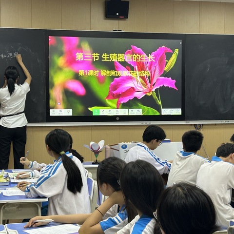 【不经一番动手探，怎闻花开扑鼻香】——谢小江老师的生物研究课“解剖和观察花的结构”