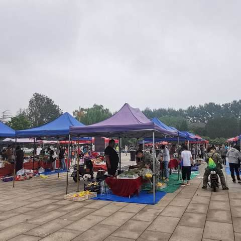 【社区动态】风雨后的人间烟火——国防大学社区红山早市如约而至