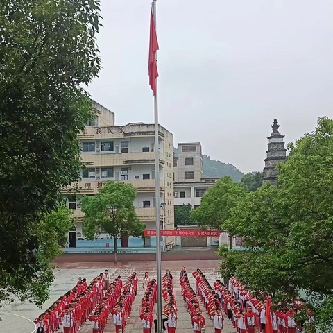 红领巾心向党——永新县城厢小学二部学校新队员入队仪式