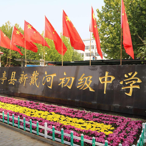 诚信之光照亮人生路——新戴河学子传承拾金不昧美德