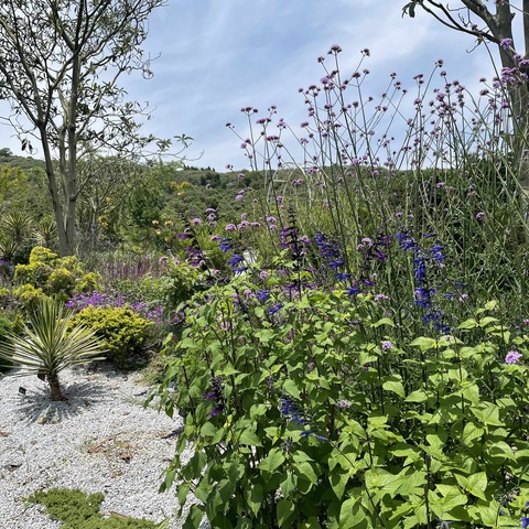 花溪谷春夏交接时的美景