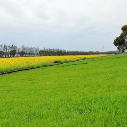 劳动点亮春天，实践成就梦想——恒山学校五一班春季实践活动