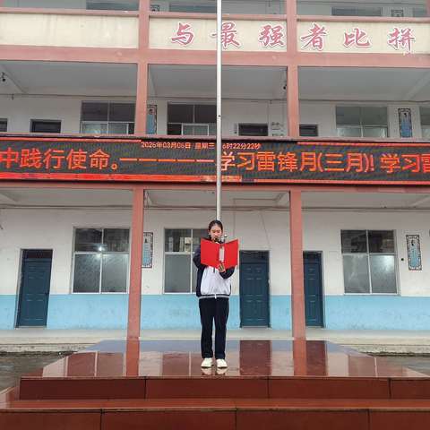 追锋行动扬正气 薪火相传启新程——芦林街道学校开展“学雷锋月”系列活动