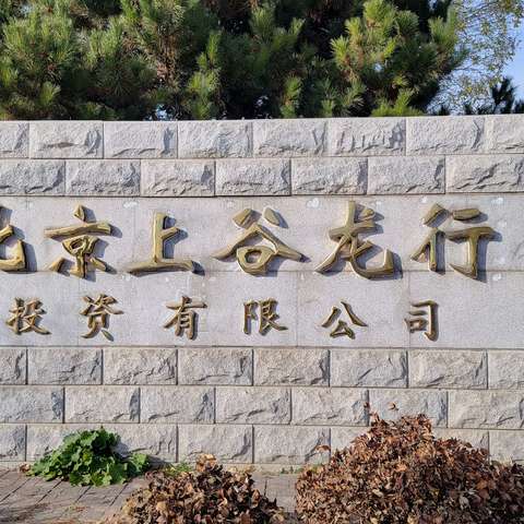 工作汇报