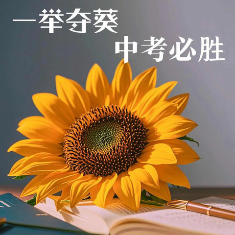 [高新教育]高新区第十三初级中2025年九年级中考告学生及家长书