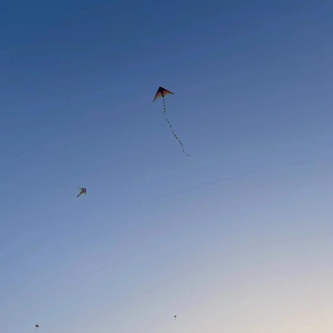 【园本课程】邂逅风筝·遇见你