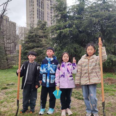 🌳 植树节 · 播种绿色，拥抱春天 种下一棵小树，收获一片蓝天