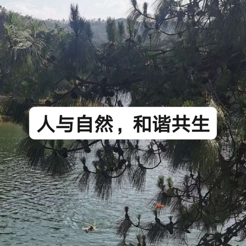 施体元的简篇
