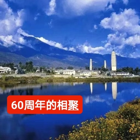 施体元的简篇