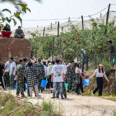 万花山镇开展抗旱保果工作