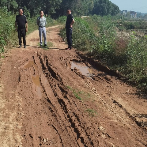 【好商量】罗家村召开“关于如何做好严家至尖山组道路硬化工程”协商议事会议