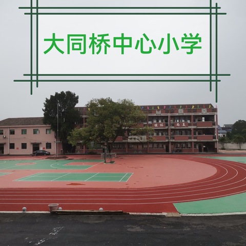 攸县新市镇大同桥中心完小2024年秋季入学须知