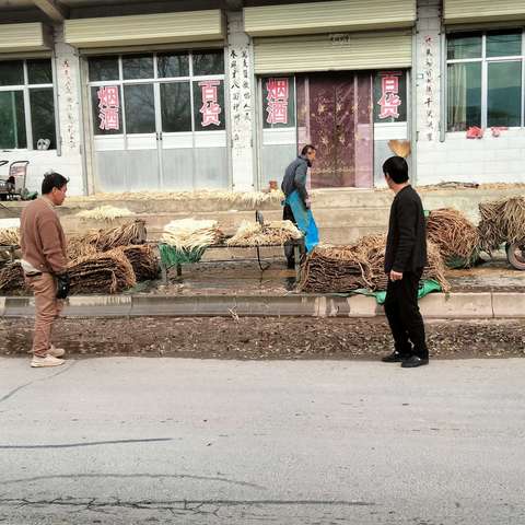 环境整治倡议书