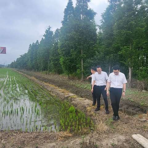 泰州农发行深入基层开展“三走进”夏粮调研活动