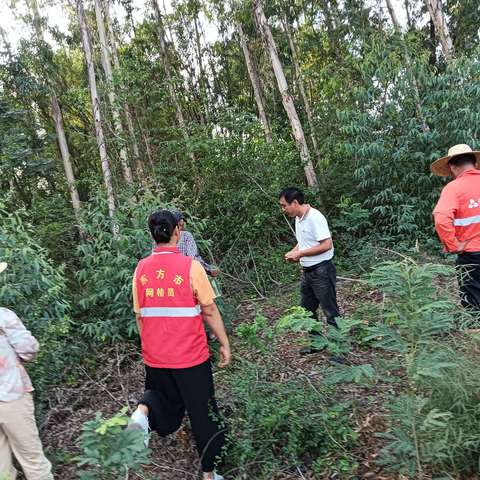 为民解忧| 新龙镇上通天村网格员协助化解林地纠纷