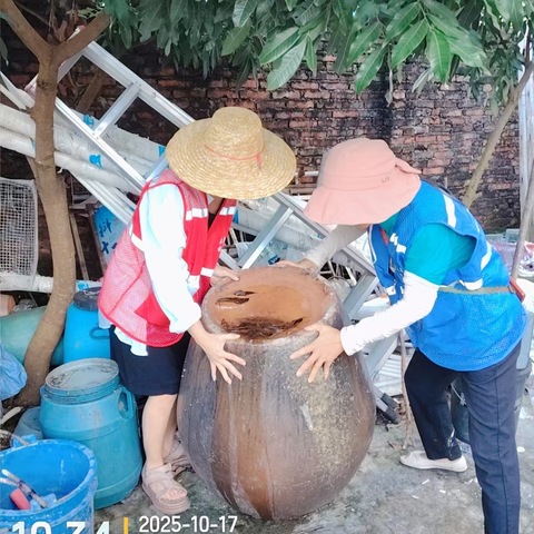 那大镇槟榔村委会开展“清洁家园 防蚊灭蚊”防控基孔肯雅热、登革热等病毒专项行动