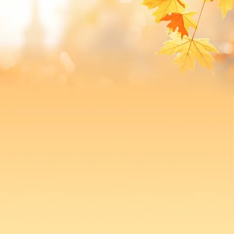 秋意浓，游心起，共赴自然之约 ——精灵班2024年秋游记