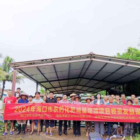海口市农技中心在旧州镇开展2024年化肥减量增效项目化肥减量集成技术示范点肥料抽检及物质发放工作