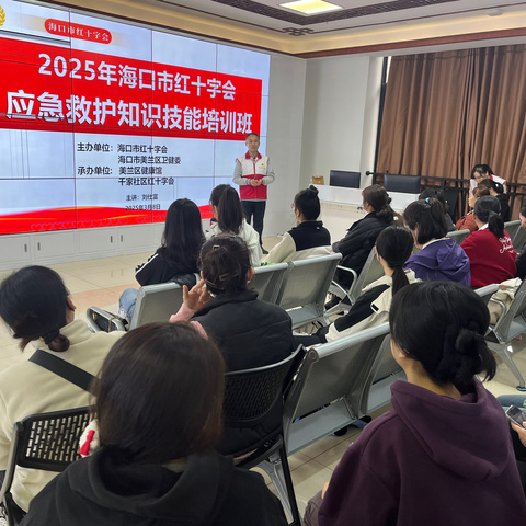 美兰区卫健委召开2025年美兰区托育机构急救培训