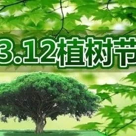 拥抱春天  播种绿色——唐县镇中心幼儿园植树节主题活动