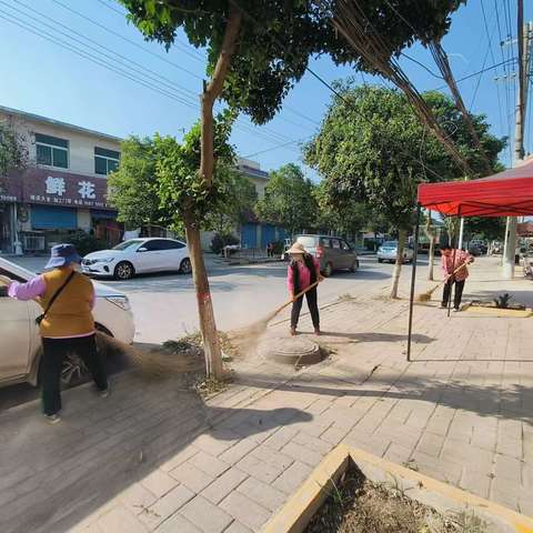 徐杨街道“千万工程”工作动态