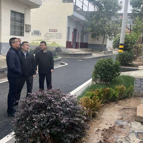 徐杨街道“千万工程”工作动态