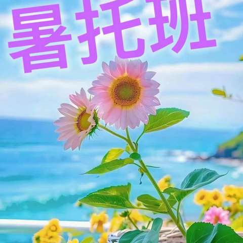 小托班第一周风采