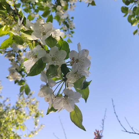 数字赋能增效课堂    名师引领助力成长                           ——记天山区数学教研活动