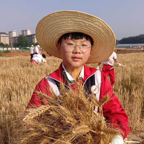 三夏农忙 麦向丰收——开封市马市街小学参加2024年示范区中小学生劳动教育实践基地开镰仪式暨麦收节活动