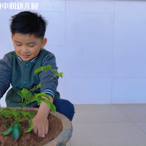 植此青绿——清溪镇中心幼儿园中一班植树节活动剪影