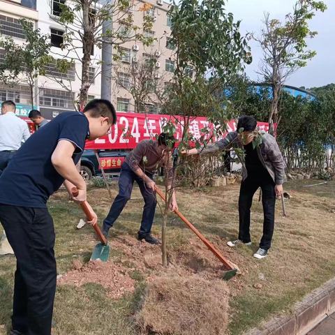 驻镇帮扶再添绿，推动绿美生态建设