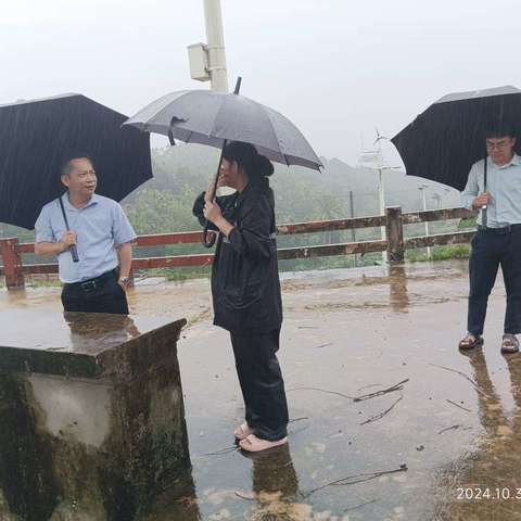王祺霖副县长到墓山水库检查指导强降雨防御工作