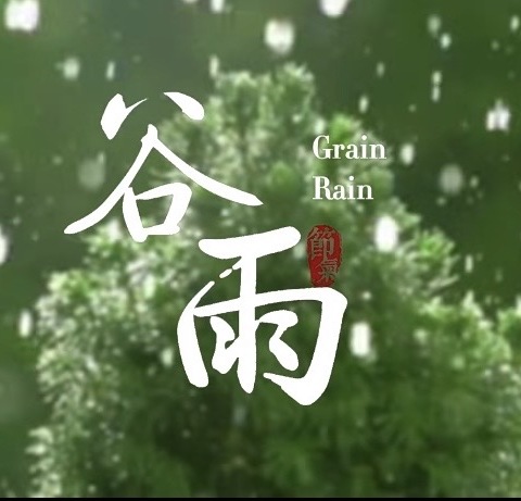 “雨生百谷，“植”得期待”二十四节气—谷雨