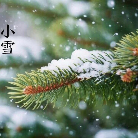 全环境立德树人//小雪初至，冬趣已始——鑫昌路小学幼儿园开展小雪节气主题活动