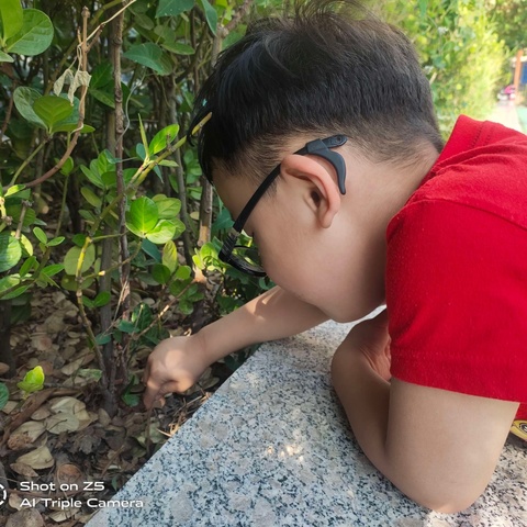 泽馨苑幼儿园典藏童年~焦沐晨