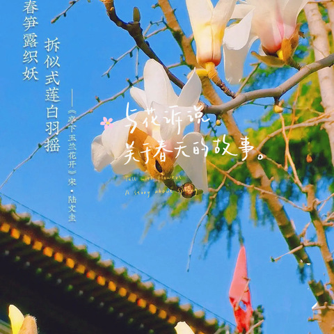 〔航天城一小〕——三月芳菲始，又是一年花开时，二年级六班读书会活动